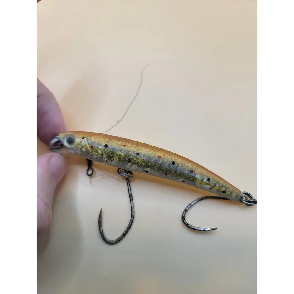 Vintage Fishing Lure Minnow 2 Hooks